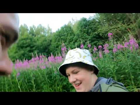 Видео: Озеро Великое, Деревня Остров 2022