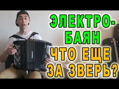 Видео: Электро БАЯН "Что еще за зверь?"