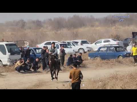 Видео: 18 марта 2025 Kegeyli Nauruz bayramy.Atshabys