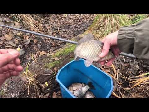Видео: ВОТ ЭТО РЫБАЛКА, КАРАСЬ НЕ ДАВАЛ ПРИСЕСТЬ 