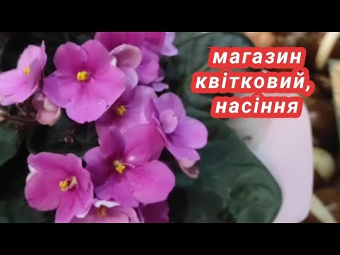 Видео: Квітковий магазин . Чернівці