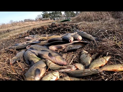 Видео: Выкопал лужу и пробую что-то заработать ) Разведение рыбы и раков возле дома, Жизнь У Пруда