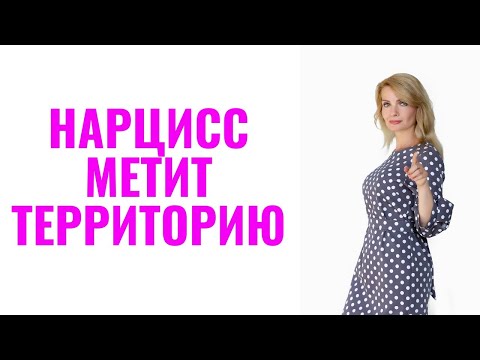 Видео: Как нарцисс "метит территорию": 9 приёмов