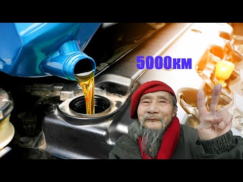 Видео: Для чего ЯПОНЦЫ меняют МАСЛО через 5000км