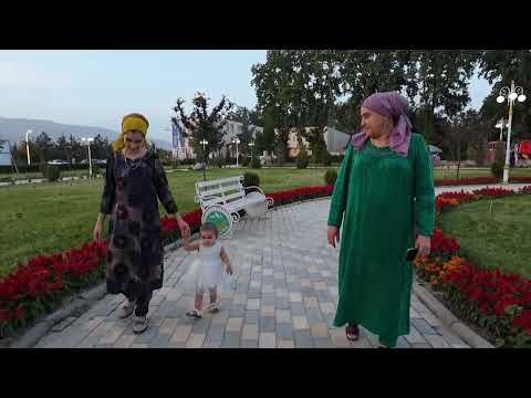 Видео: ЛАВХАИ СУБХУ ШОМИ  ДАНГАРА