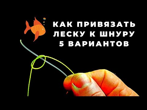 Видео: А Вы знаете эти 5 способов как привязать флюрокарбон к шнуру