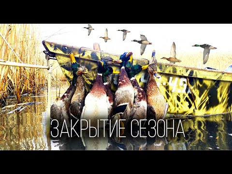 Видео: 🔥ЗАКРЫТИЕ ОХОТЫ 🔥ОХОТА НА УТКУ - 2021