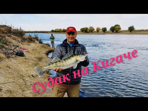 Видео: Секретные места на р.Кигач! Судак!  Уловистые места на р.Кигач!Astrakhan region,Kigach river