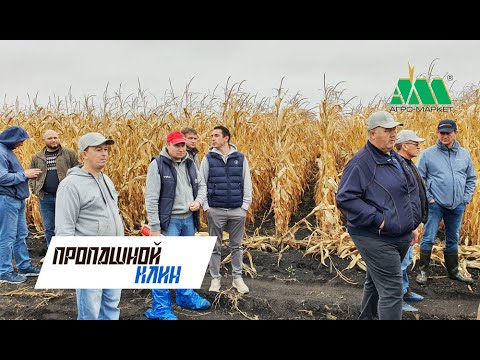 Видео: Пропашной клин 2022