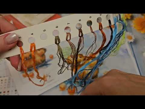 Видео: Финиш. Капибара и капибарин. Покупки. Анонс