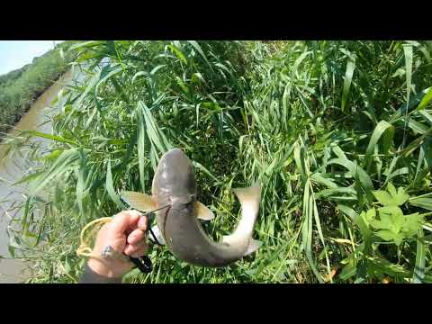 Видео: фартануло на новом месте