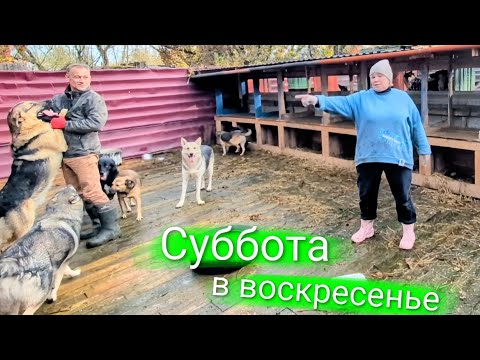 Видео: Воскресенье в субботу 