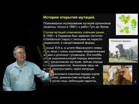 Видео: Дубынин В.А. - 100 часов школьной биологии - 2.21. Мутационная изменчивость. Генетика человека.