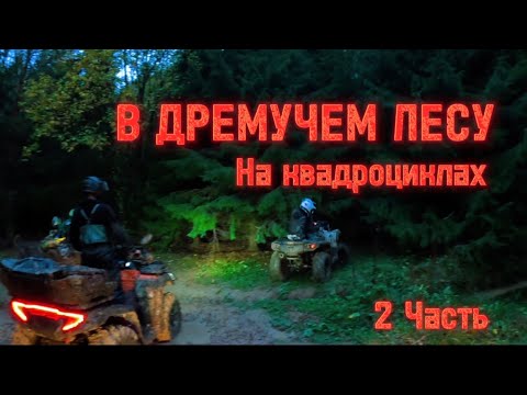 Видео: НОЧНАЯ Катка На Квадроциклах!🔥 ВЫТАЩИЛИ Или НЕТ?!😧😧 2 ЧАСТЬ***