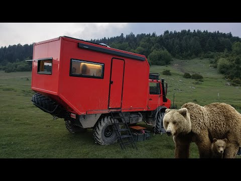 Видео: В ЛАГЕРЬЕ МЫ ВСТРЕТИЛИСЬ С МЕДВЕДЯМИ