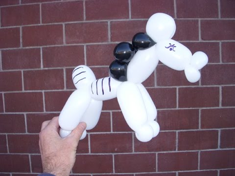 Видео: Лошадь из шариков