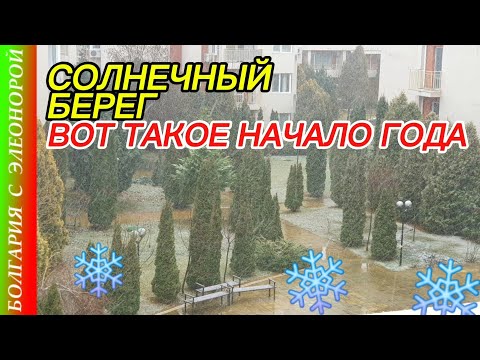 Видео: СОЛНЕЧНЫЙ БЕРЕГ ЗИМА 2025 - Это Только НАЧАЛО ГОДА.