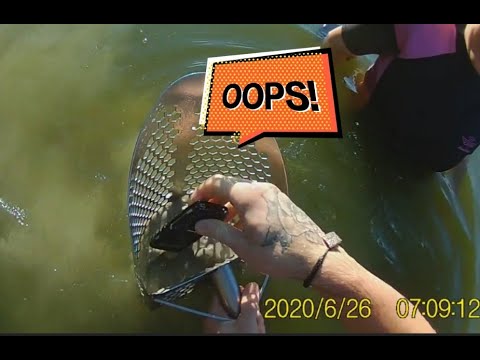 Видео: Коп на пляже 2020.Золото с Макро Мульти Крузером