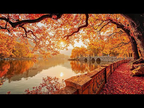 Видео: 🎶 Прекрасная расслабляющая музыка ✨🍁 Тихая осенняя природа 💖 Спокойная и исцеляющая музыка 🌸
