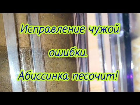 Видео: Исправление чужой ошибки! ДНП "Раменские дали".