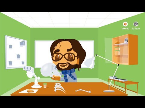 Видео: Прямая линия со Станиславом Дробышевским