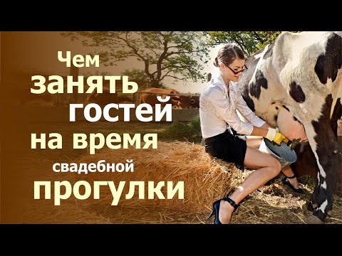 Видео: Чем занять гостей на катании или на время свадебной фотосессии