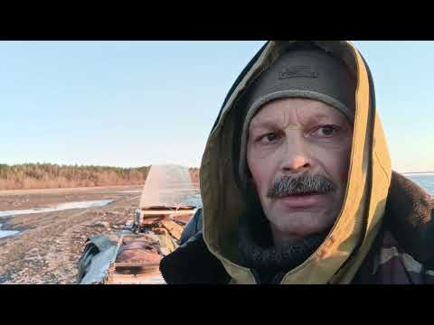 Видео: Зима на пороге. Заснял охоту снежного луня.