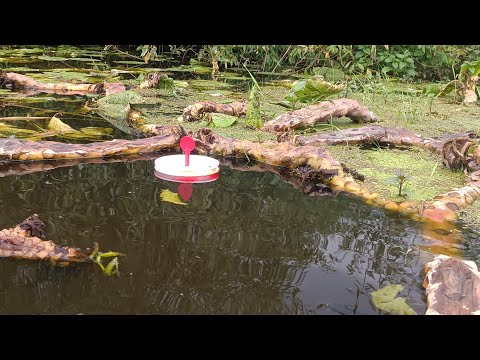 Видео: Оставил жерлицы без присмотра и вот что из этого получилось...Рыбалка на кружки.
