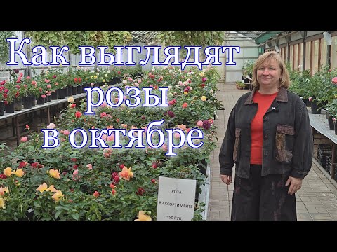 Видео: Как выглядит наш садовый центр в октябре 2025?