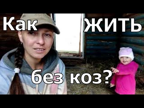 Видео: Продали последних коз. Как жить дальше?