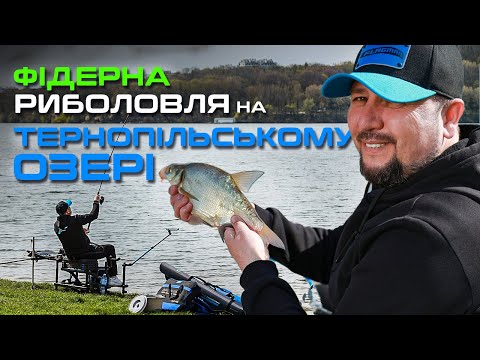 Видео: 🤩 РИБОЛОВНІ ПРИГОДИ У ФАЙНОМУ МІСТІ ТЕРНОПІЛЬ — ловля ПЛІТКИ ТА ЛЯЩА у самому серці міста!
