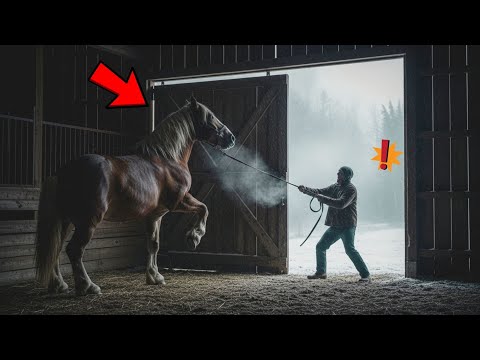 Видео: Старый конь не ушёл в бурю… и именно это спасло всю семью