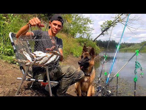 Видео: Ночная Рыбалка. Даже Рыба ловится!
