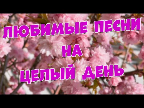 Видео: Заходи и Слушай! Здесь самые Добрые песни!