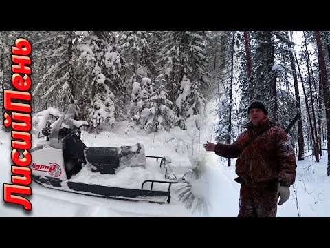 Видео: Где ставить капкан? СОБОЛЬ КУНИЦА