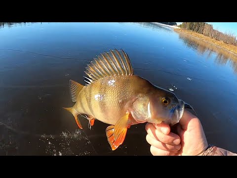 Видео: Первый лëд 2025-2026.