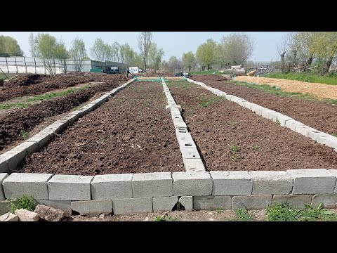 Видео: Сөөлжан бакканга жаңы жер кантип даярданат.0550706767