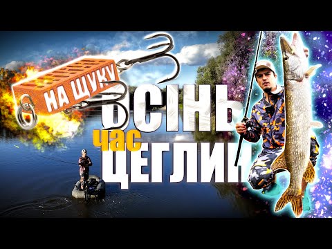 Видео: ДЖЕРКИ початок 🎣 Тест Piscifun Alijos 300 та Sportex PT 1914 | Ловля щуки