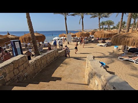 Видео: Обзор пляжа в отеле Continental plaza. Я как всегда стратила))