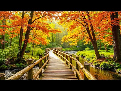 Видео: Красивая расслабляющая музыка 🍁 Перестаньте слишком много думать, музыка для снятия стресса с осенн