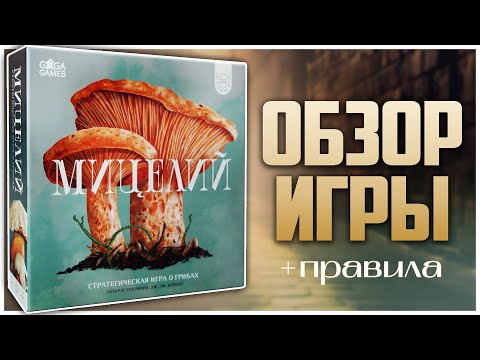 Видео: МИЦЕЛИЙ | MYCELIA ► Грибной контроль территорий ► Обзор и Правила игры