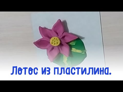 Видео: Лепка из пластилина для детей 6-7 лет. Лотос.