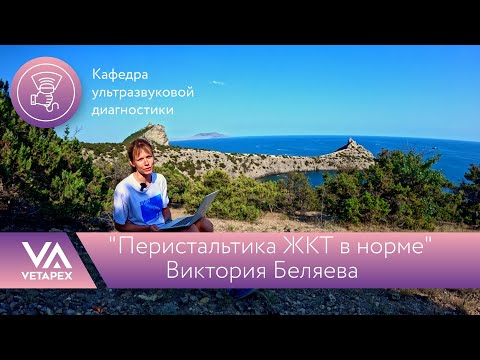 Видео: Кафедра УЗИ "Перистальтика ЖКТ в норме"