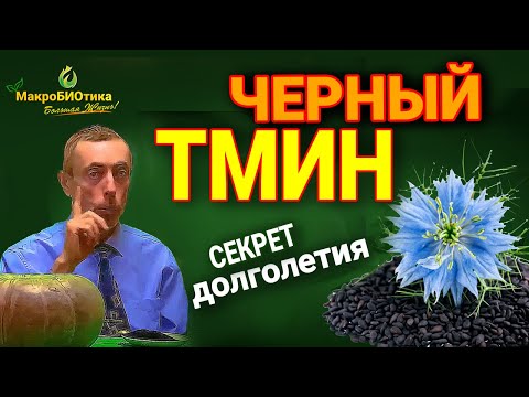 Видео: 🌱 Чёрный тмин: зачем жевать по 7 зёрен утром?