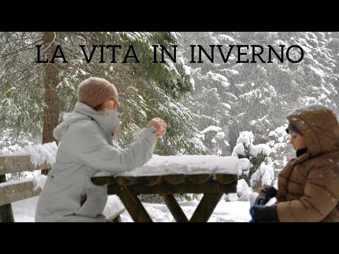 Видео: Жизнь зимой, Большой снег! Ежедневная жизнь. Подвал и собственное производство. Меню выходного дня