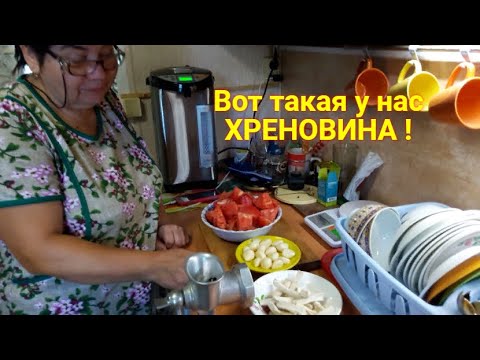 Видео: Живём в деревне. Хреновина на зиму, ядрёная. Огонёк - Любимая острая закуска. Дегустация !