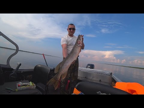Видео: В ПОИСКАХ ТРОФЕЙНОЙ ЩУКИ / СПИННИНГ НА КРАЙНЕМ СЕВЕРЕ / FISHING PIKE