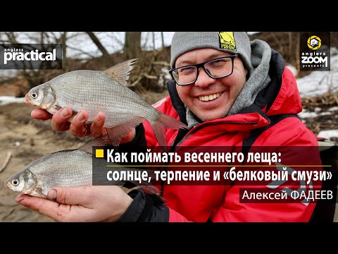 Видео: Как поймать весеннего леща: солнце, терпение и «белковый смузи». Алексей Фадеев. Anglers Practical