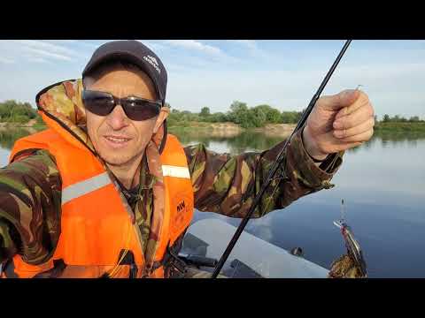 Видео: Воблер Salmo в деле !!!