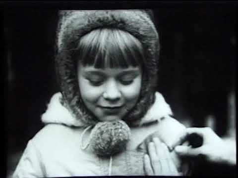 Видео: Киножурнал Советская Карелия 1981 Ноябрь